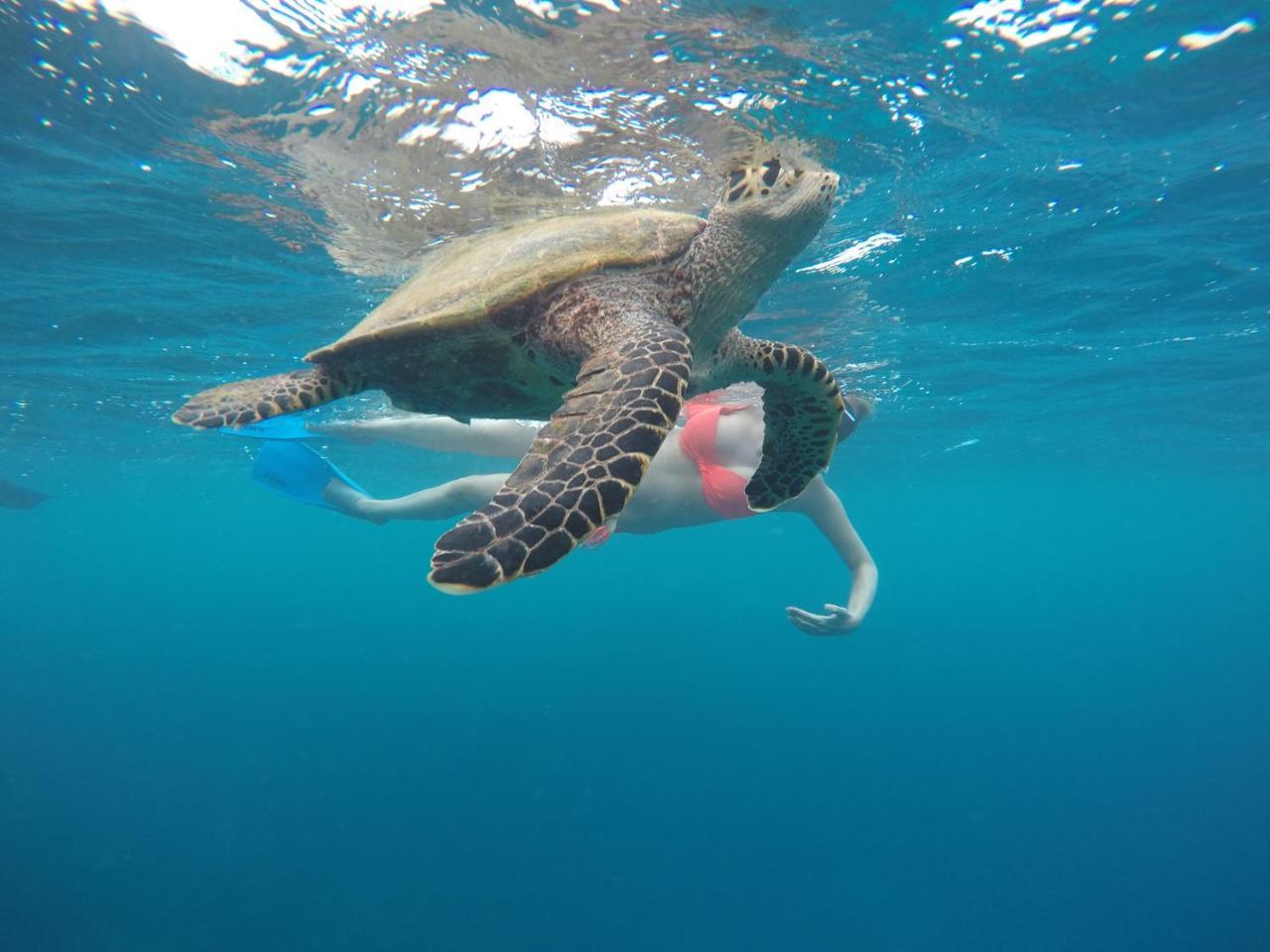 Zeestar Inn Maafushi Exteriör bild